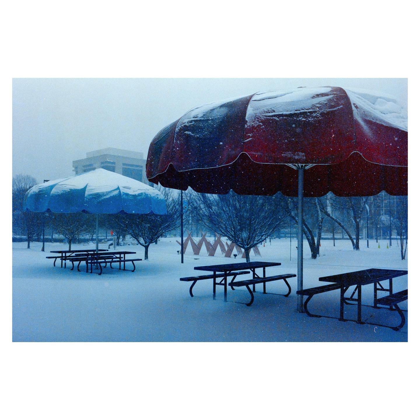 image 37130 by natemakesgrain