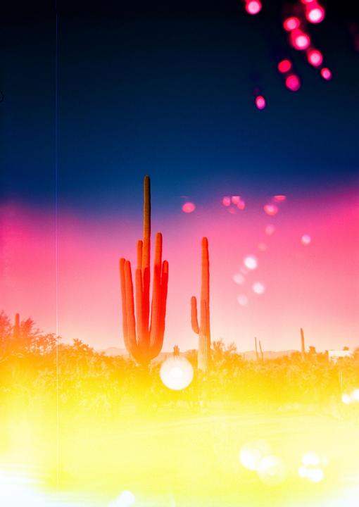 One of my favorite photos from this year: Kodak Ektar | Blind Double Exposure | 35mm Plastic Camera | The FIND Lab