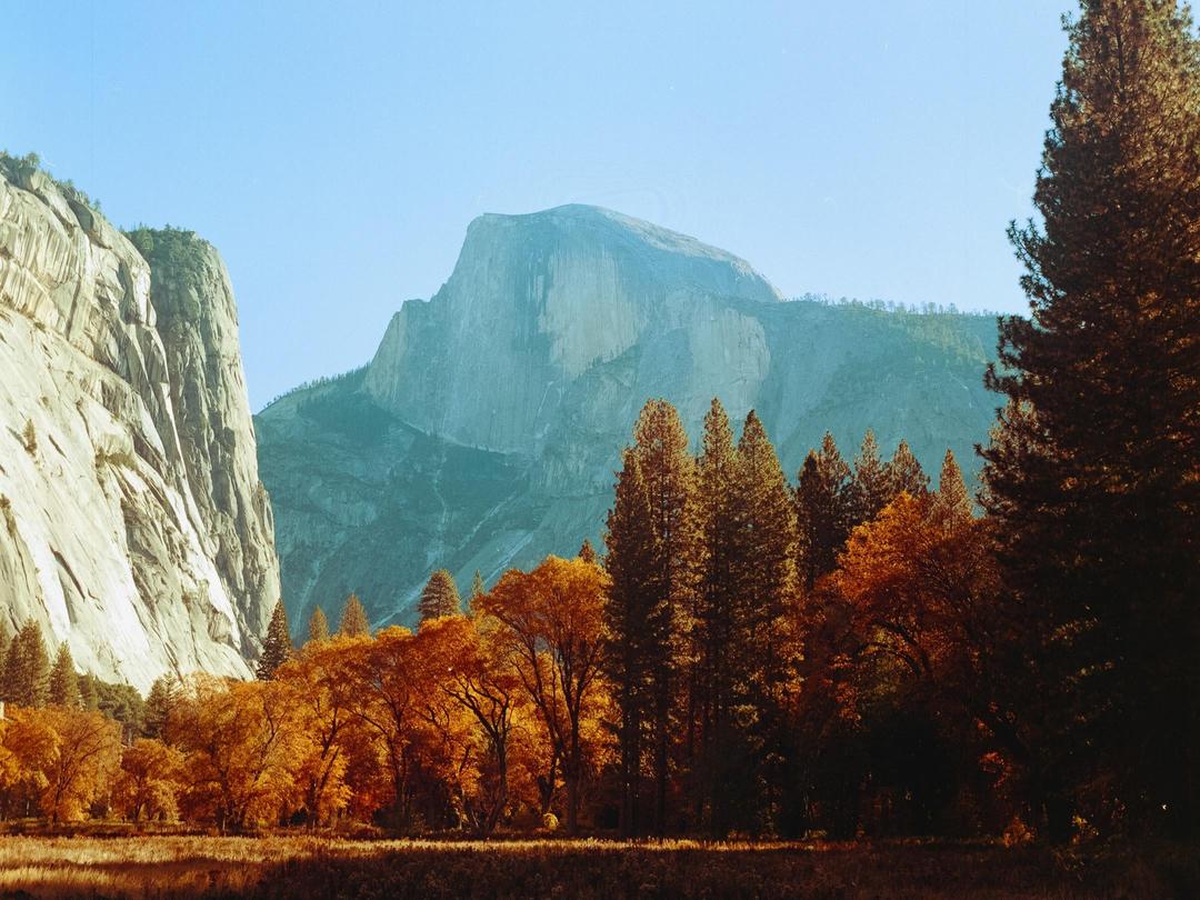 image 36057 by natterang42