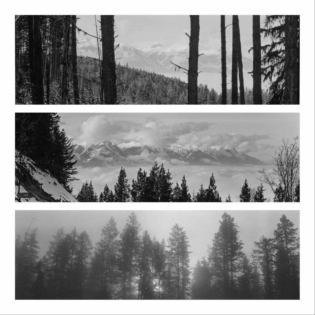 image 36174 by Limber9