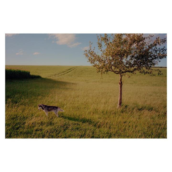 End of Summer | Leica MP + Elmarit 28 | Portra 400