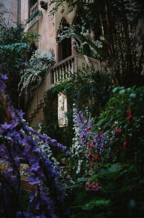 Ektar 100, Nikon FM10