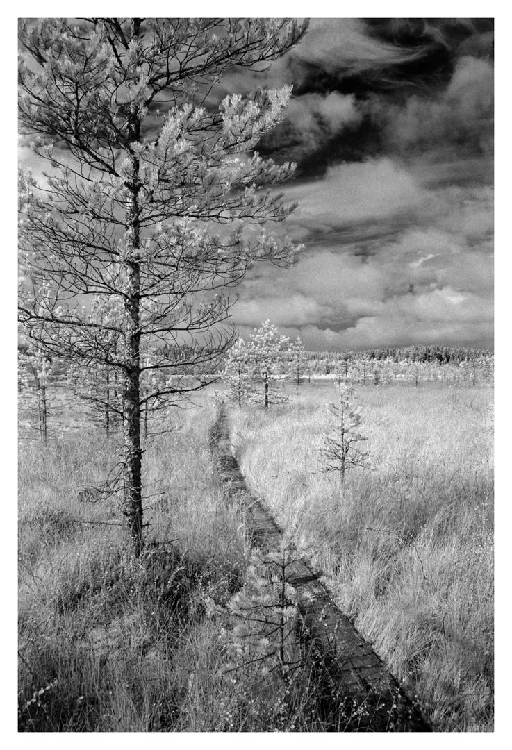 image 40021 by LeadingHuckleberry