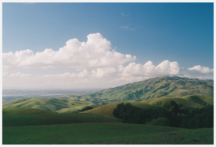 Pasture / Pentax ZXM / Portra 400