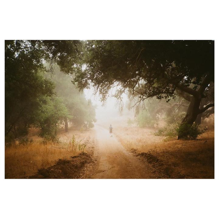 Trail Run [Olympus XA-2 , Kodak Gold 200]