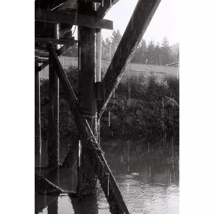 Rain falls on the water and wooden pilings under a pier.