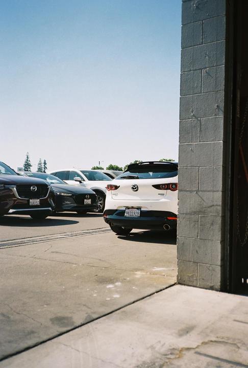 First roll through my Olympus XA in over 10 years.