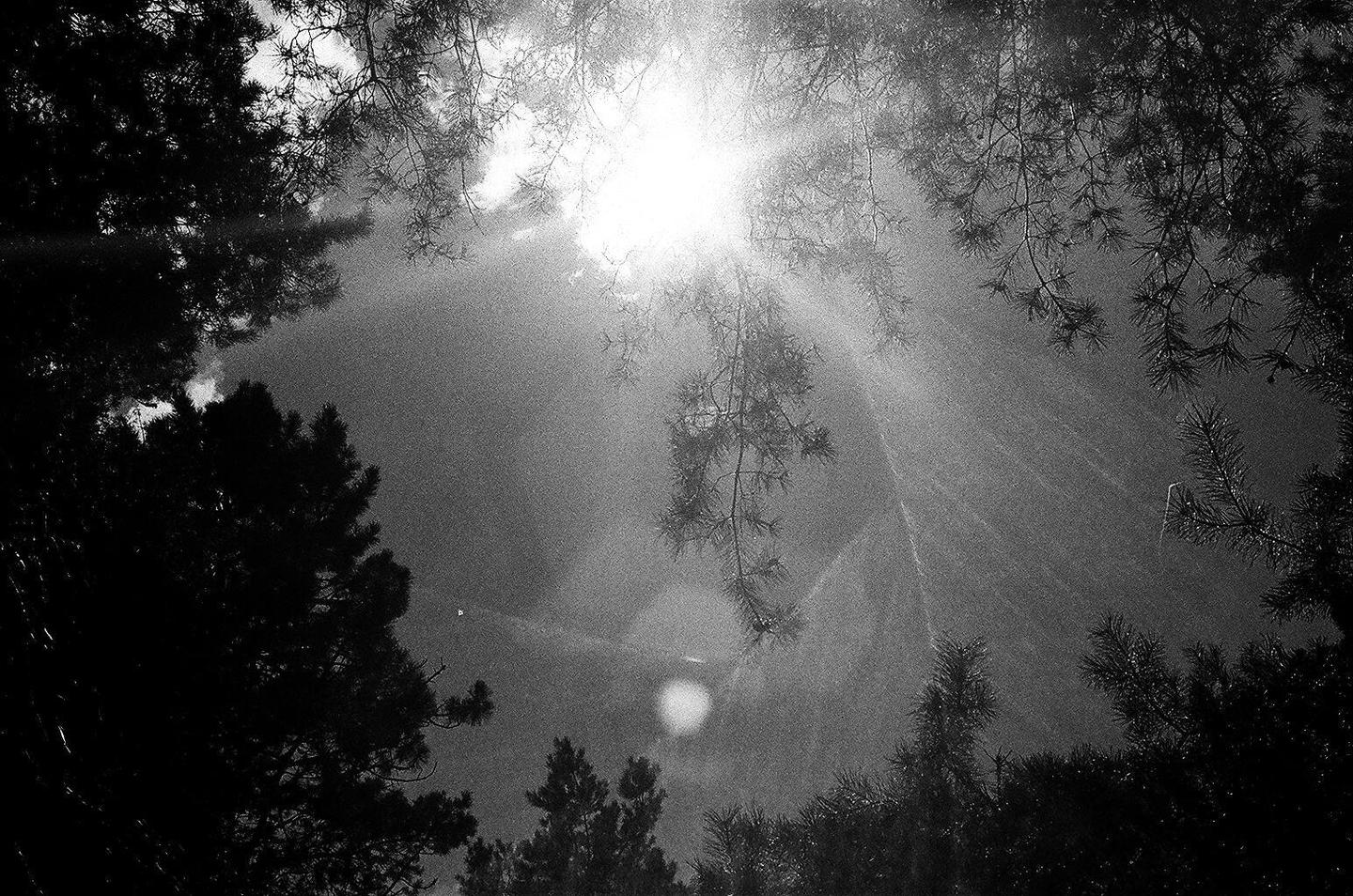 image 35046 by jpegdealer
