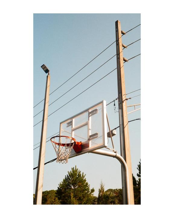 A few of my favorites from a recent roll of Kodak Gold 200 🎞️