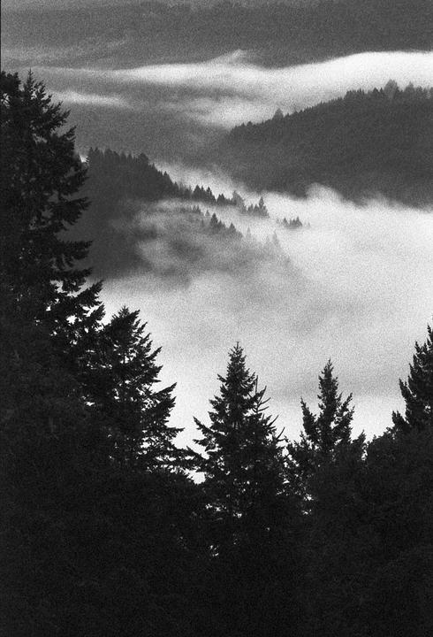Solitude - Nikon Fe2 - TMax P3200
