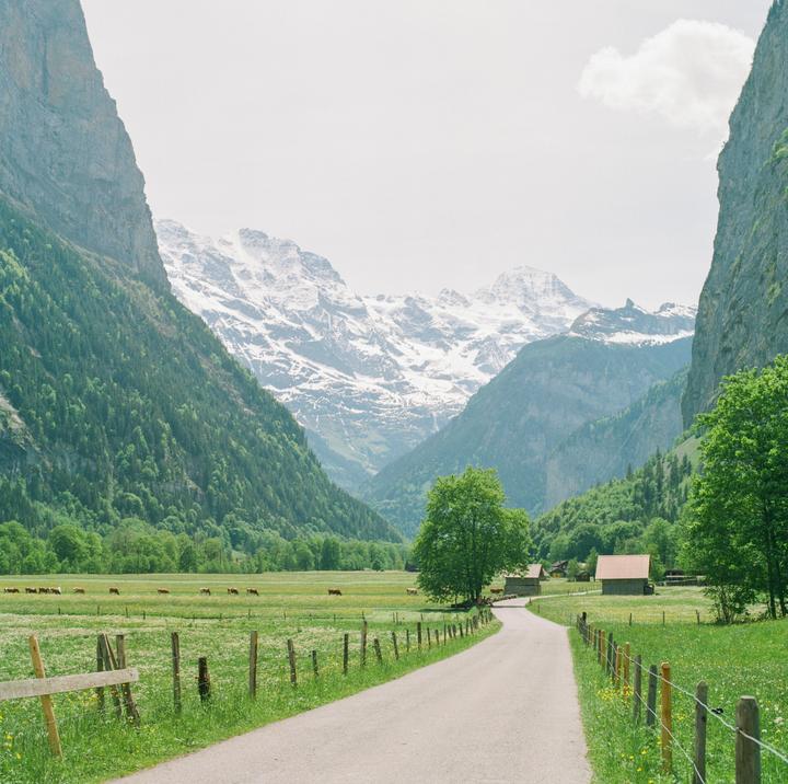 Off to greener pastures | Hasselblad 500cm 80mm 2.8 | Cinestill 50D
