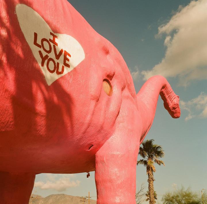Dinosaurs of cabazon | Kodak Gold 200 | Minolta Autocord
