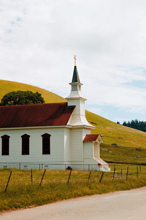 First Rolls of Lucky200 shot in Point Reyes, CA | Canon EOS V1 + EF 85mm f1.4