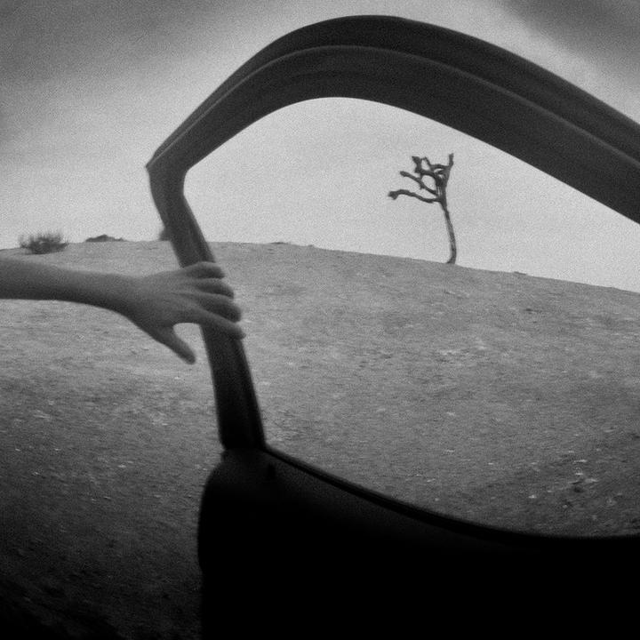 A hand holds a car door frame, with a desert landscape and a lone tree visible through the open door.