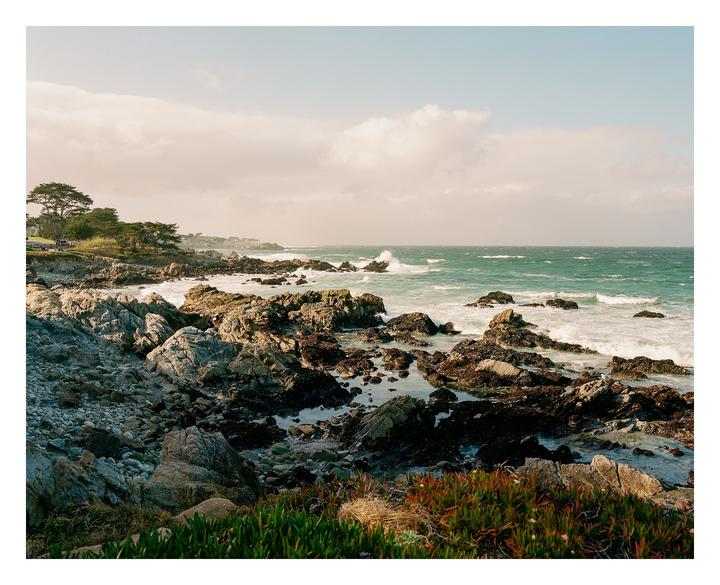 Waves crash against a rocky coastline with green and red plants in the foreground.