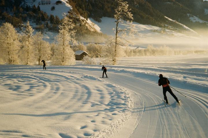 Skiing [Canon Sureshot 70 - Kodak Gold 200]