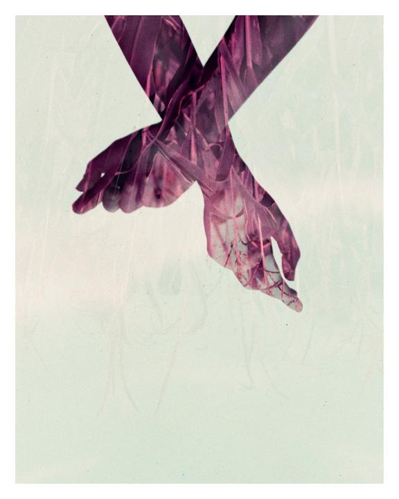 Reaching Up | LomoPurple | Nikon F2
