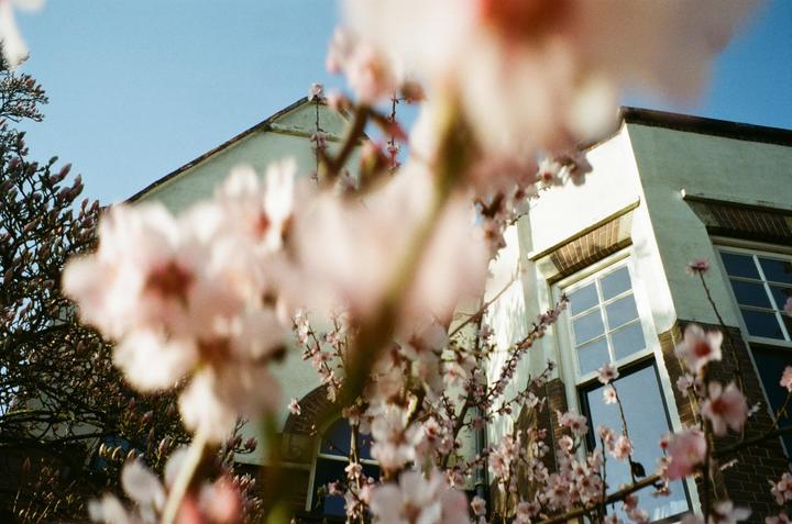 Gave my friend, who has no photography experience whatsoever, my Mju Zoom 115 with Gold 200 for the day