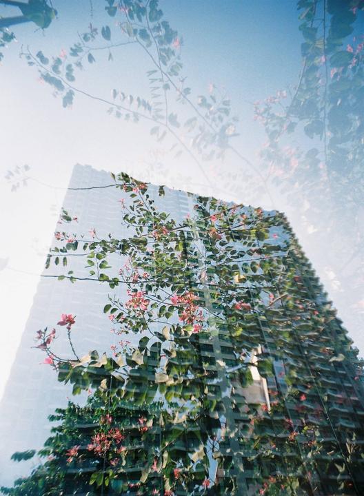 Messing around with double exposures.