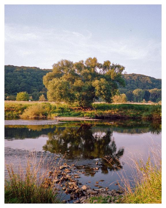 FUJI GS645S - Gold 200