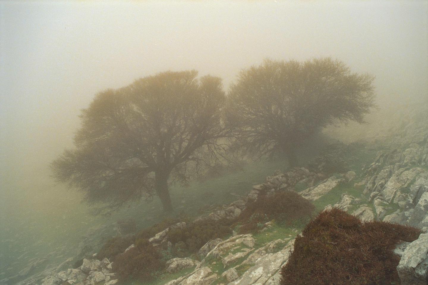 image 34330 by Transluzent
