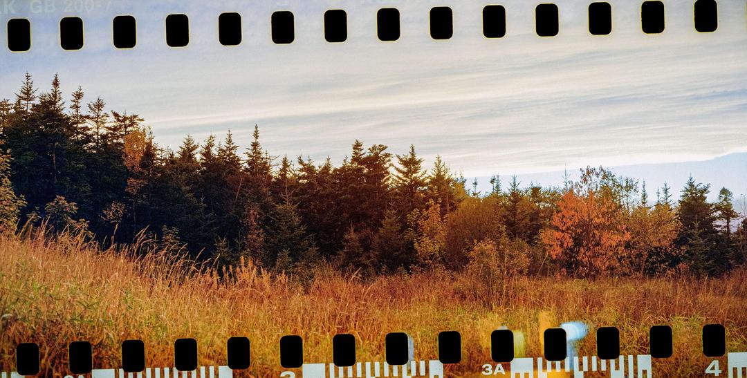 image 39833 by fluvotol