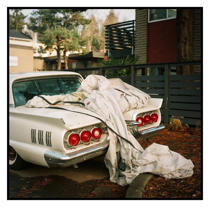 Thunderbird Texture | Hasselblad 500CM | 80mm f2.8 | Portra 800