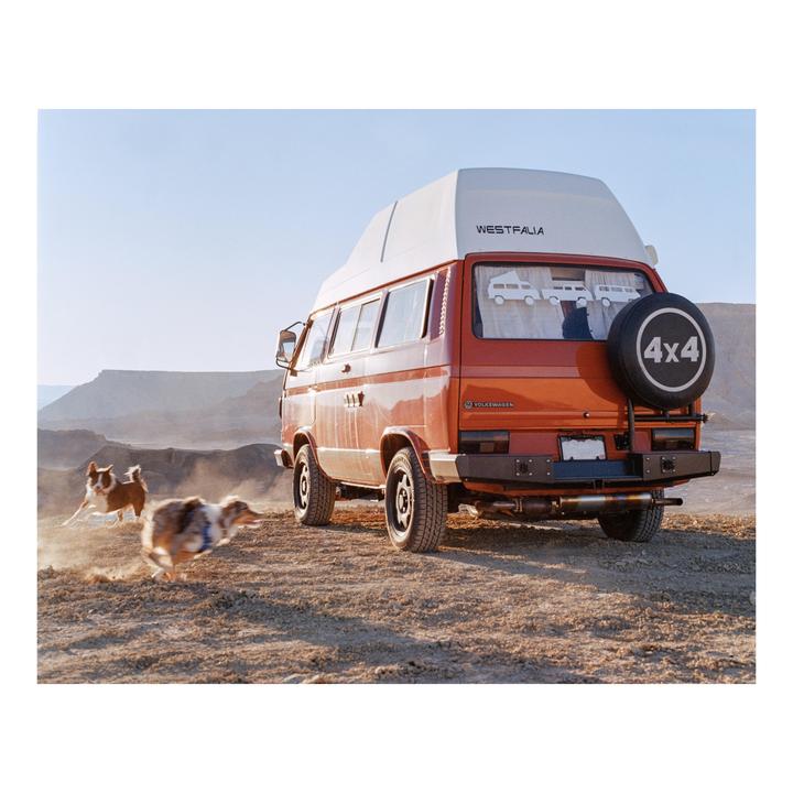 Finally… Free | Hasselblad 500CM | 80mm f2.8 | Kodak Gold 200