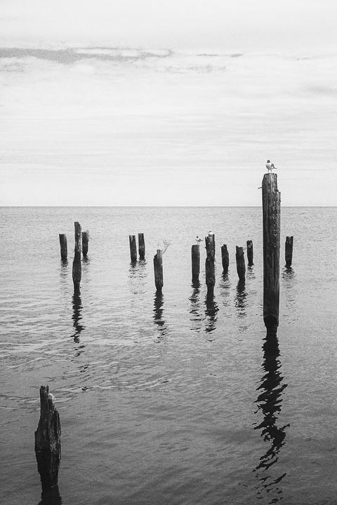 The mouth of the Tchefuncte | Yashica Electro 35 | Portra 400