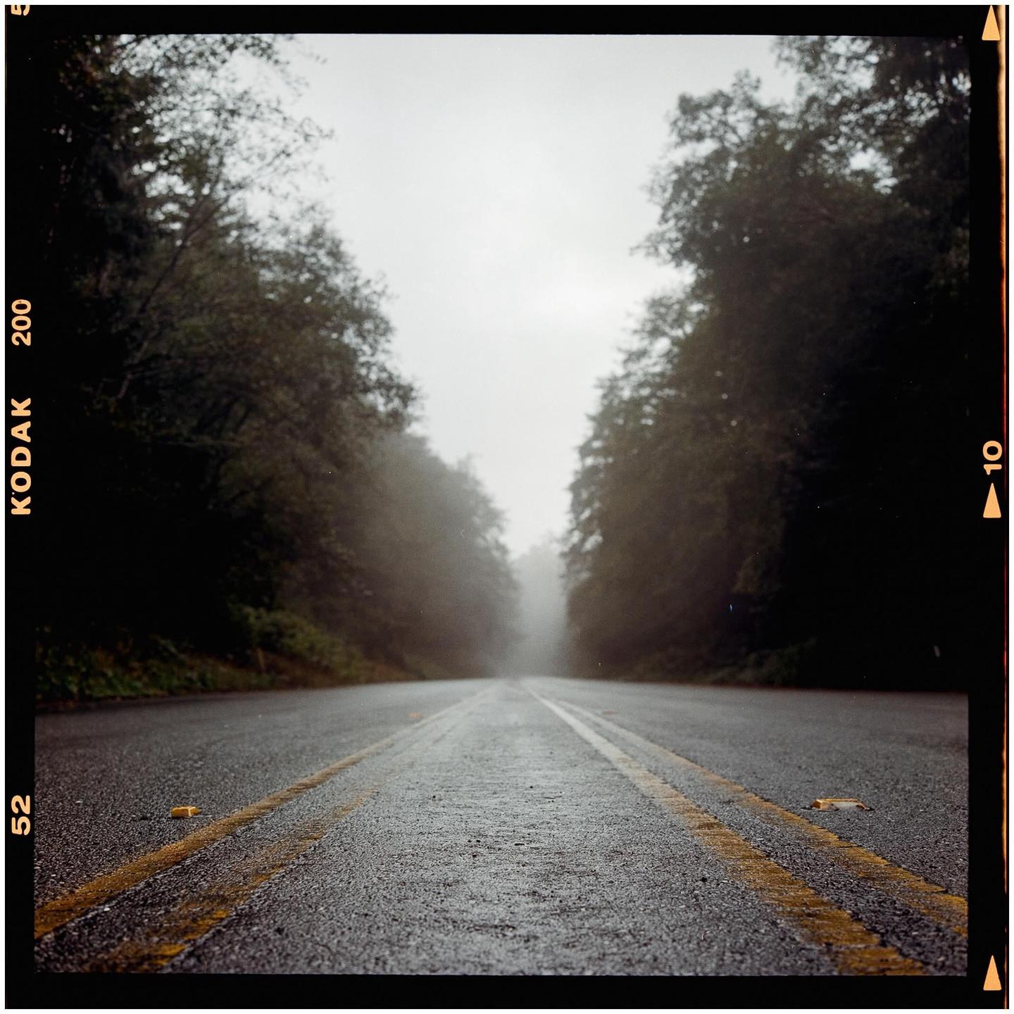 image 35973 by pizzadog112