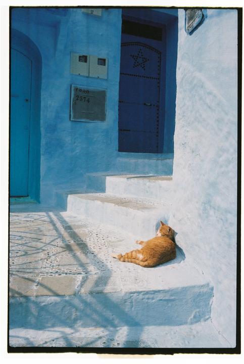 Chefchaouen/ Leica M6 / 35 TLM/ Portra 400
