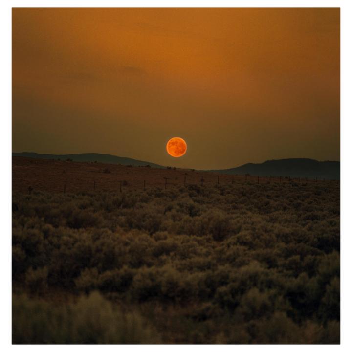 Moon over a field in New Mexico, Hassleblad CM, gold 200, 250mm.