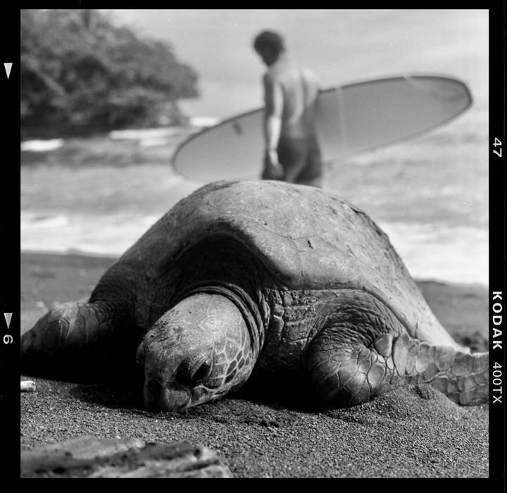 Honoli’i Hawai’i — Minolta Autocord, Kodak 400TX, stock Xtol