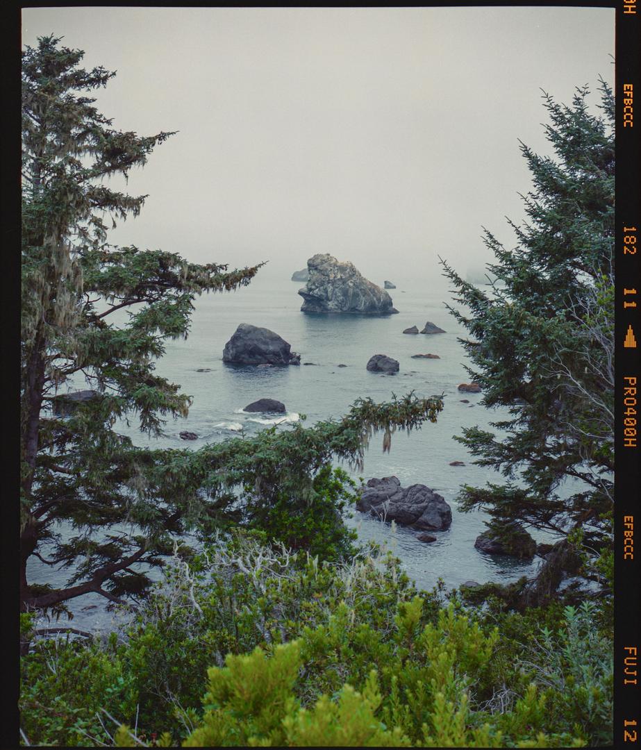 Pacific Abyss · Mamiya 7ii 80MM · FujiFilm Pro 400H (Expired), shot on mamiya 7ii with fujifilm fujicolor pro 400h