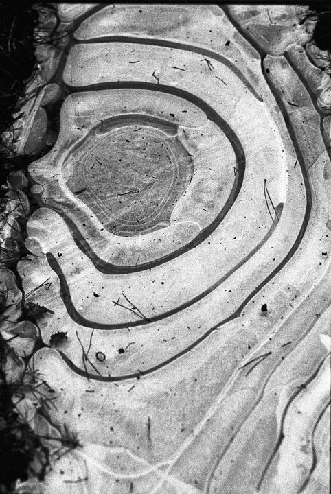 A close-up view shows concentric rings of ice in a puddle with debris frozen within it.
