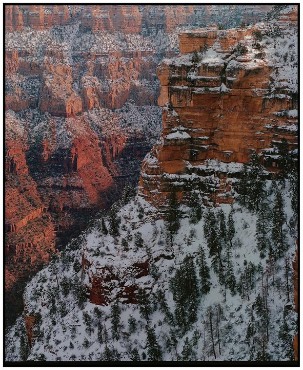Le Grand Canyon | Mamiya RB67 | 127mm f/3.8 | Portra 400