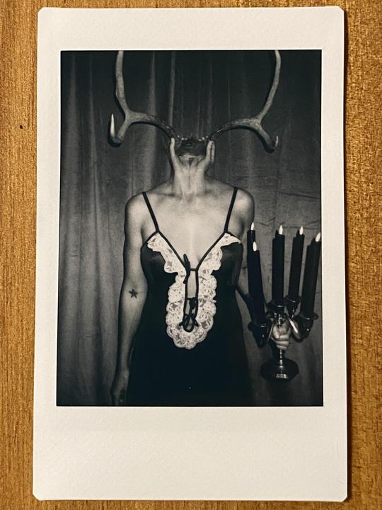 Oh deer, another double exposure. Fuji instax mini 90 on Fuji instax mini monochrome film.