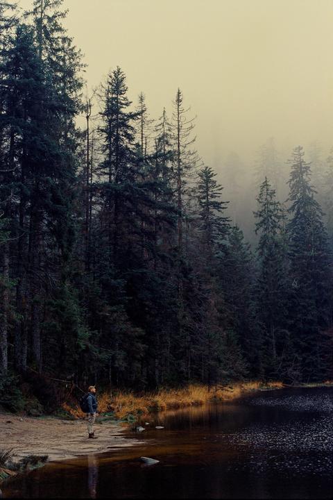 Hidden in the Forest [Olympus OM-1 | Zuiko 50/1.8 | Kodak Vision3 500T (ECN-2 by Silbersalz35)]