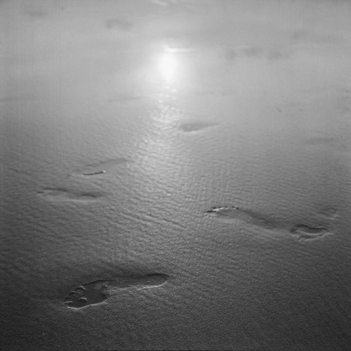 Footprints are visible in the sand with sunlight reflecting on the wet surface.