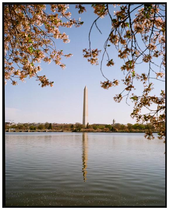 Mamiya 7 Kodak gold 200 in DC, Philly, ane NYC