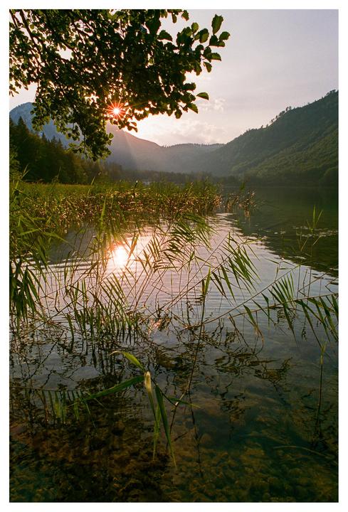 Last shot of the evening straight into the setting sun [Nikon F100, Portra 400 @160]