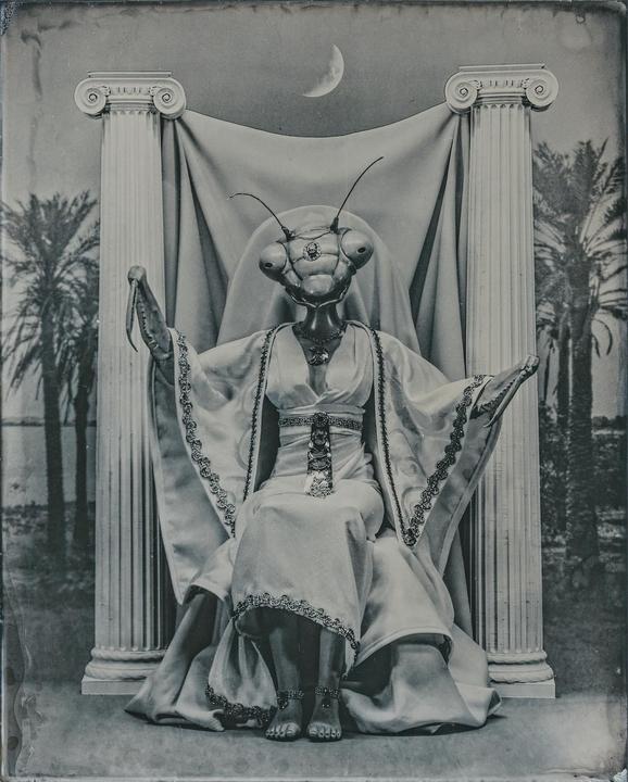 The High Priestess, Wet Plate Collodion
