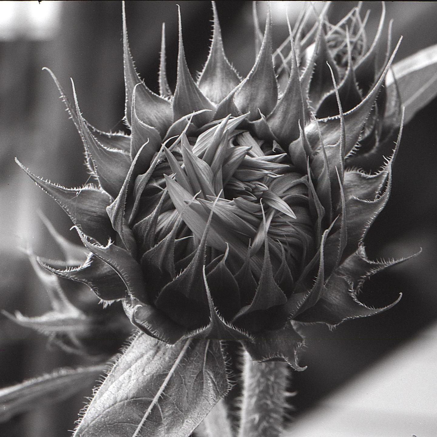 image 35959 by boringgit101