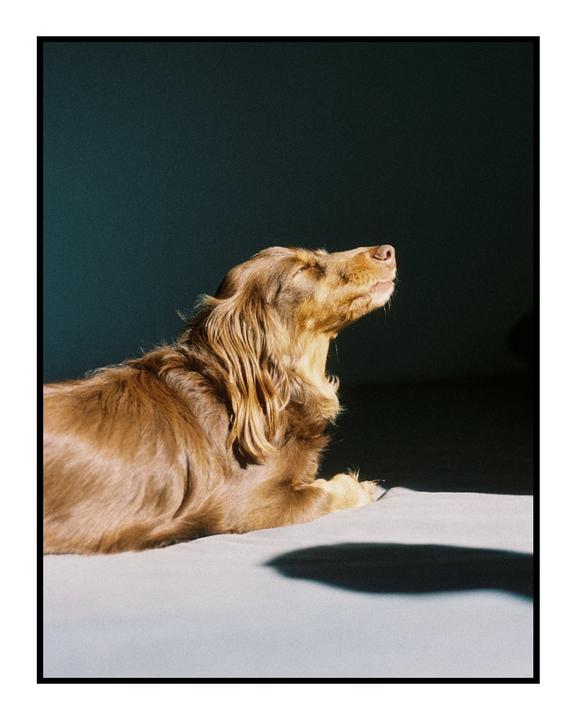 Long boy { Contax G1 + 45mm - Kodak Portra 400 }