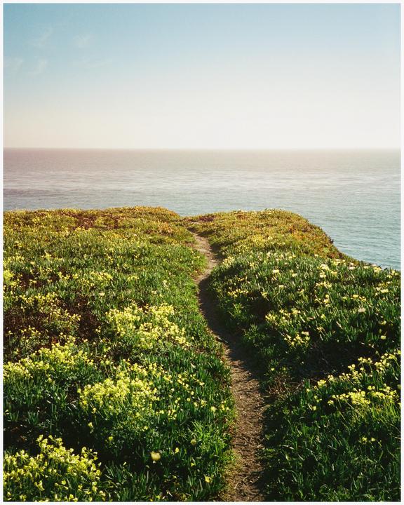 Santa Cruz (Portra 400 | Olympus XA2)