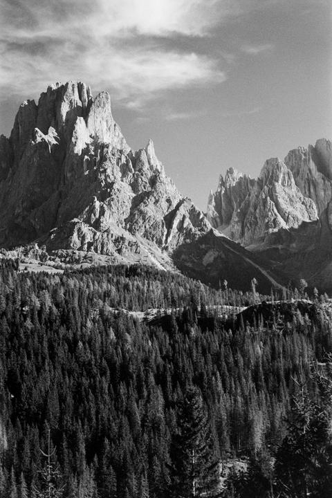 Jagged mountain peaks rise above a dense forest.