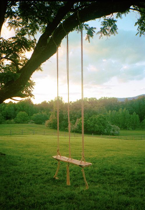First time scanning my own. Xa2, Fuji Superia 400.