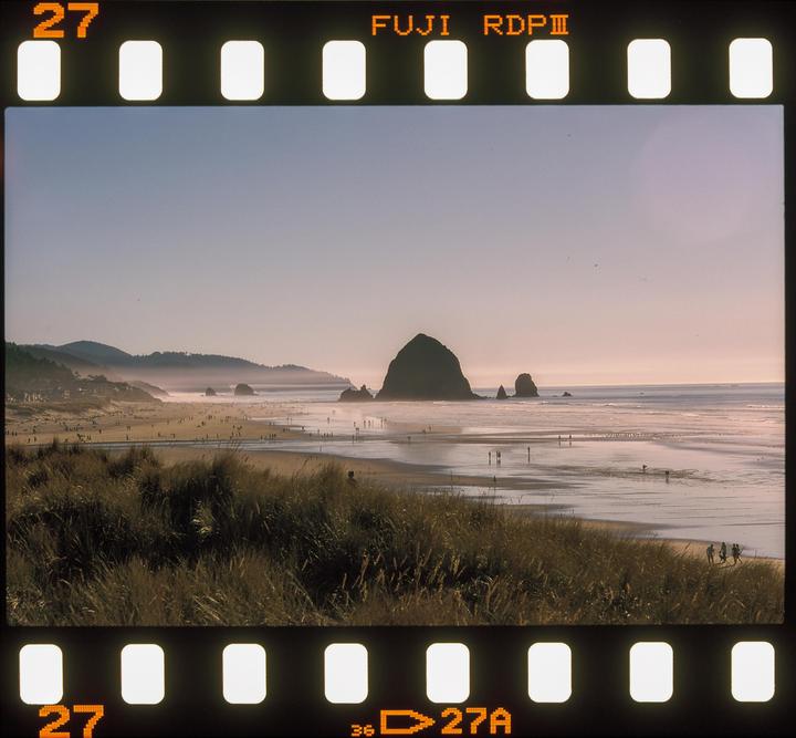 It was 50 degrees and sunny in the PNW this past weekend. Canon New F1 - Fuji Provia 100f