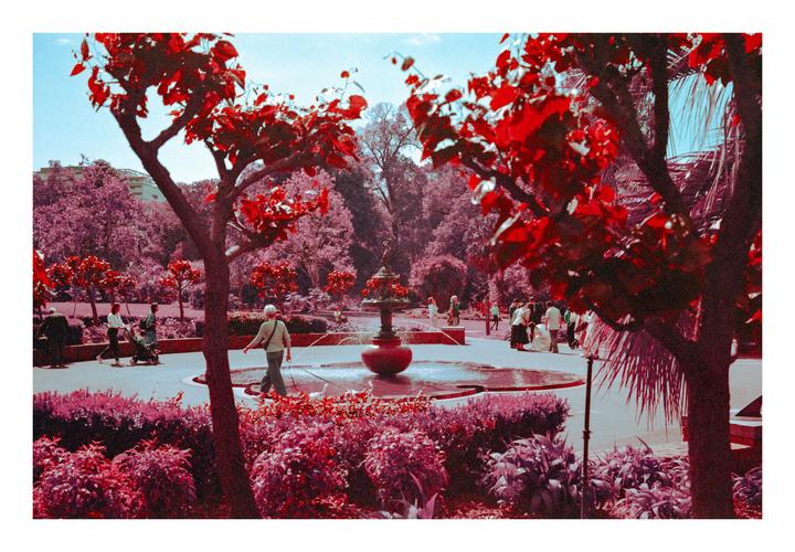 Povochrome. An Attempt at Aerochrome [Fuji GW690II, Lomography Purple 400, Orange Filter]