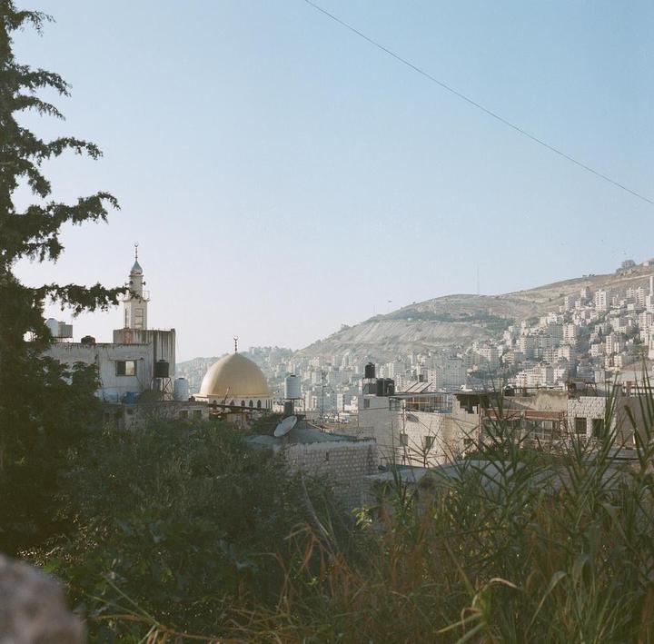 West Bank, Palestine. (Fried) 120 Kodak Portra 160, 120 Fujifilm Velvia 100. Hasselblad 500CM 80mm.